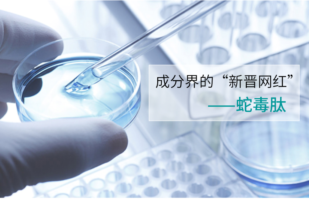 护肤原料-类蛇毒肽的功效，蛇毒肽抗皱产品/冻干粉生产代工厂家